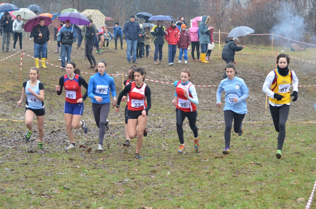 a-cross-sernaglia-2013-292.jpg