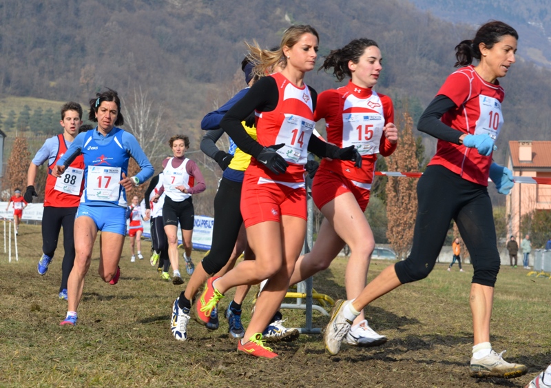 a-cross-vitt-2013-379.jpg