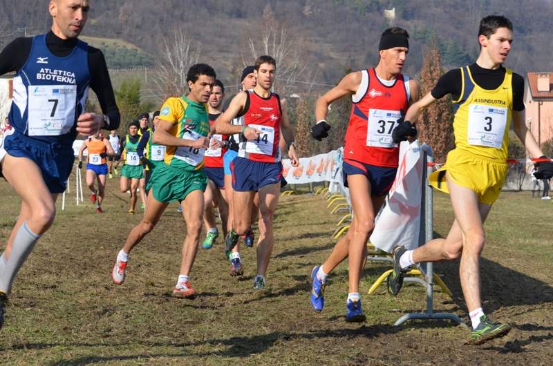 a-cross-vitt-2013-767.jpg