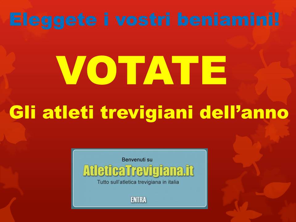 elezioni-2013.jpg